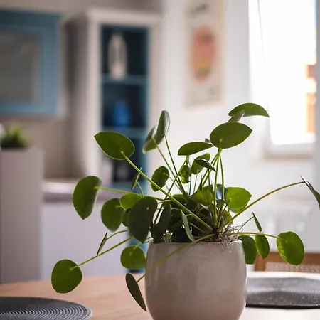 Am Kurpark Mit Traumhafter Terrasse * Бад-Эмс