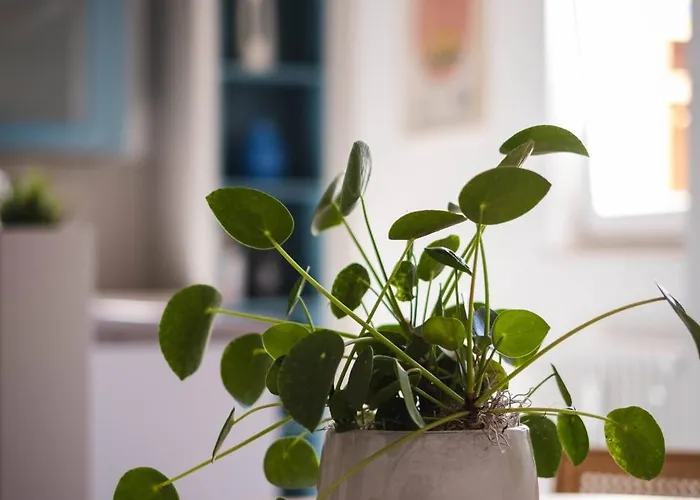 Am Kurpark Mit Traumhafter Terrasse * Bad Ems